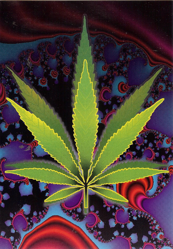 Cannabis Leaf Postcard