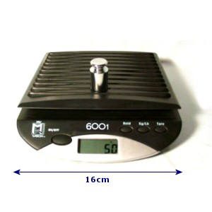 Digital Compact Scale 6000g-1g