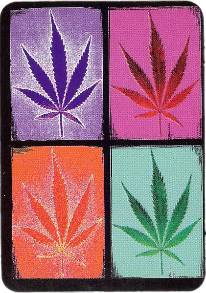 Marijuana Leaves - Sticker