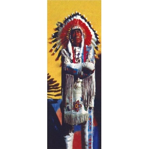 Native American Flag