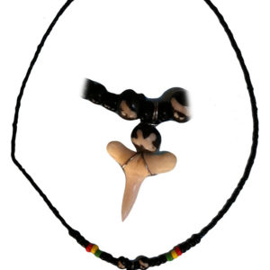 Shark Tooth Rasta Beads Necklace